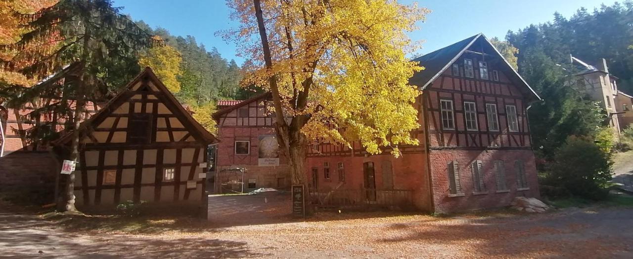 Naturhof-Papiermuehle 2 Bett-Zimmer Rosenrot Bollberg Exterior photo